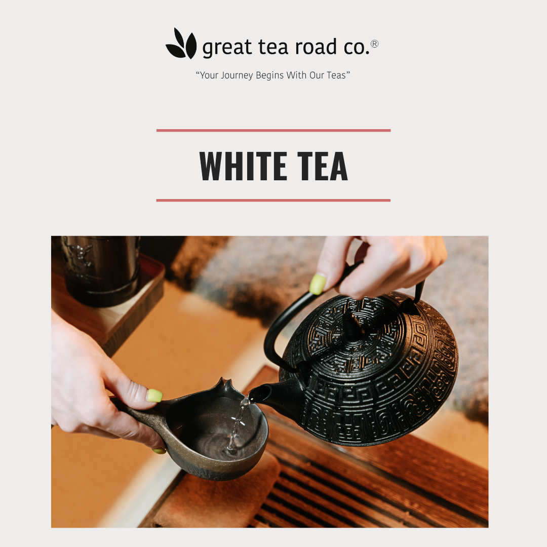 Shop premium white tea with a delicate flavor and high antioxidants. Enjoy smooth, low-caffeine loose-leaf tea that supports relaxation, skin health, and wellness. Great Tea Road Co. Edina. Best tea shop in Minnesota.