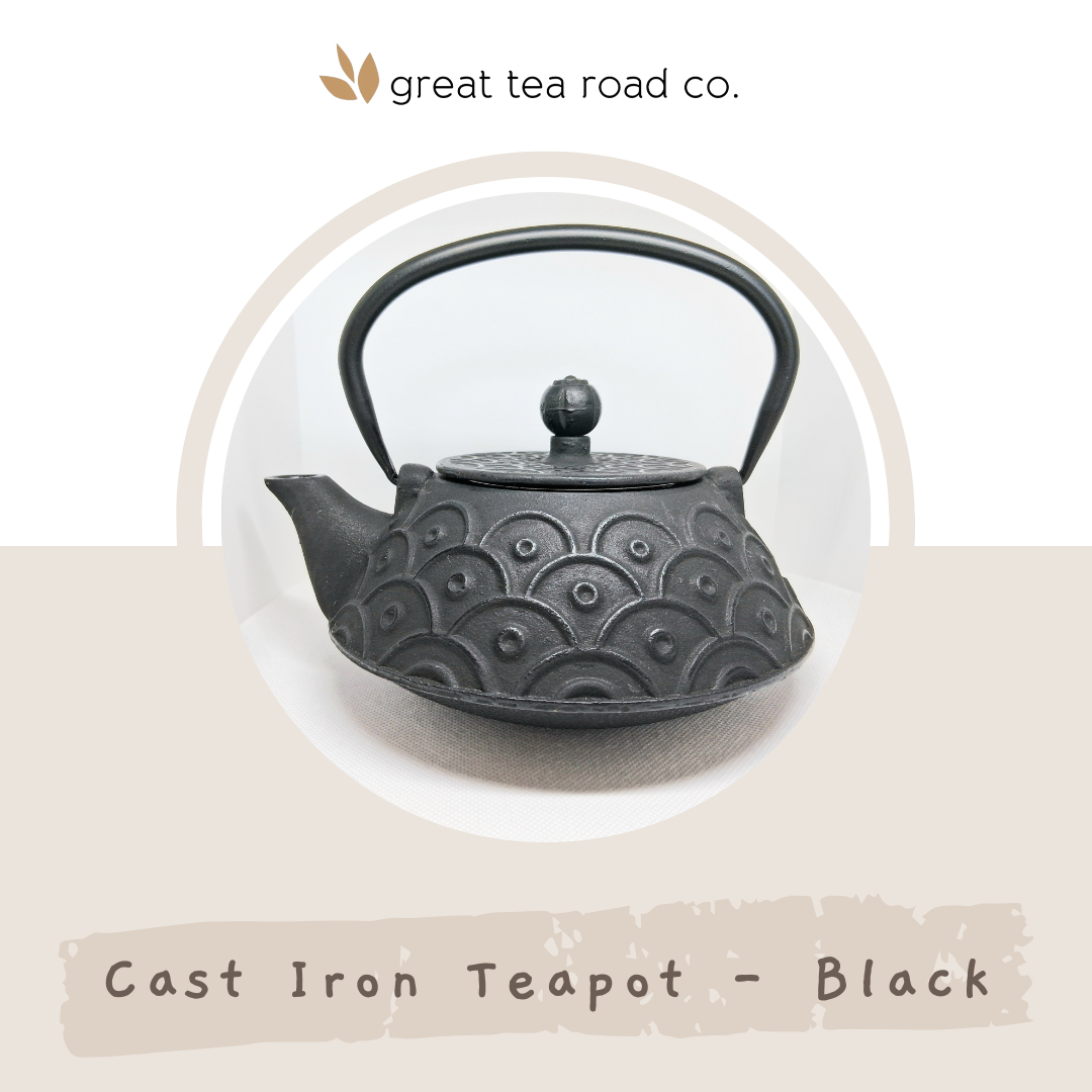 Cast Iron Teapot