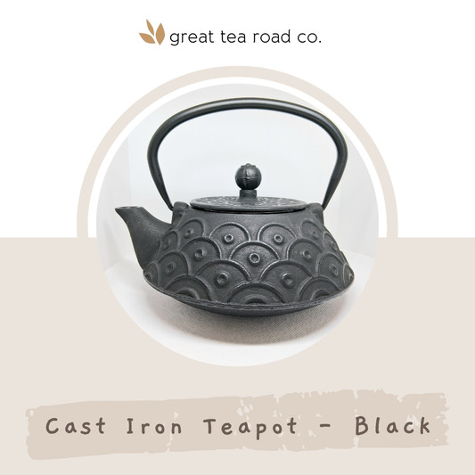 Cast Iron Teapot