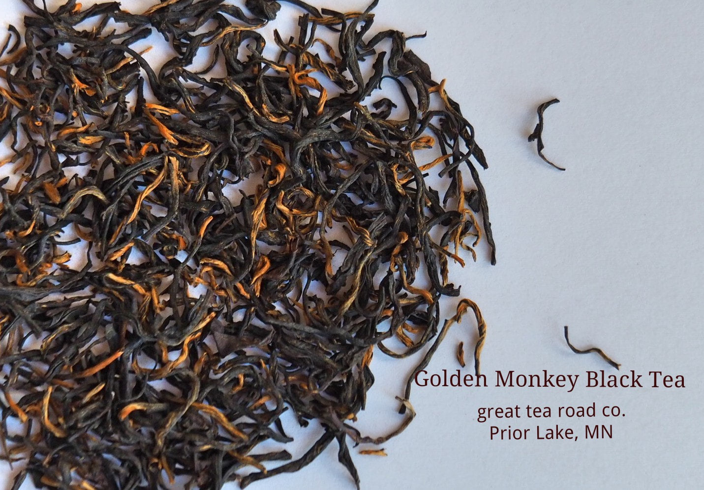 Golden Monkey