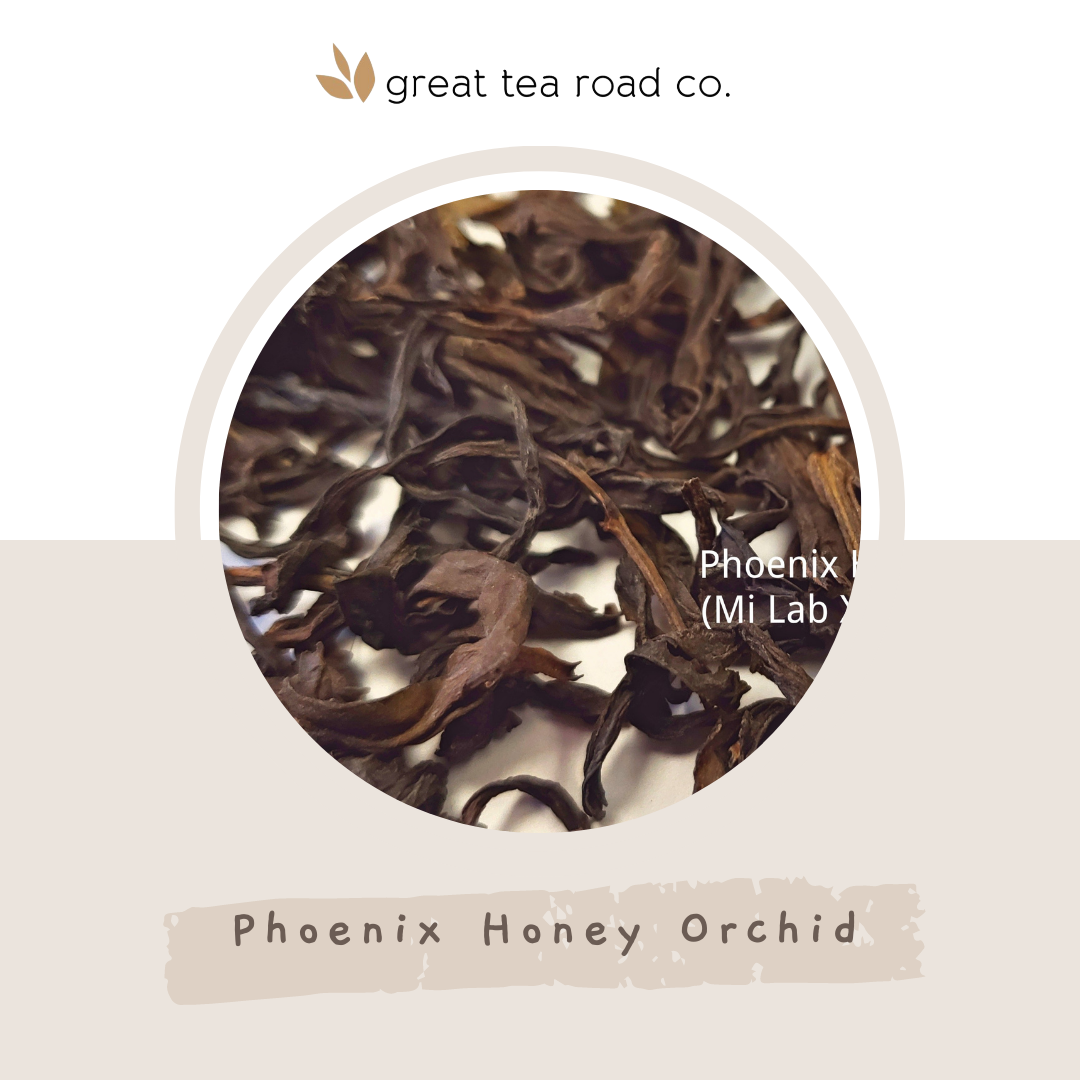 Phoenix Honey Orchid (Mi Lan Xiang)