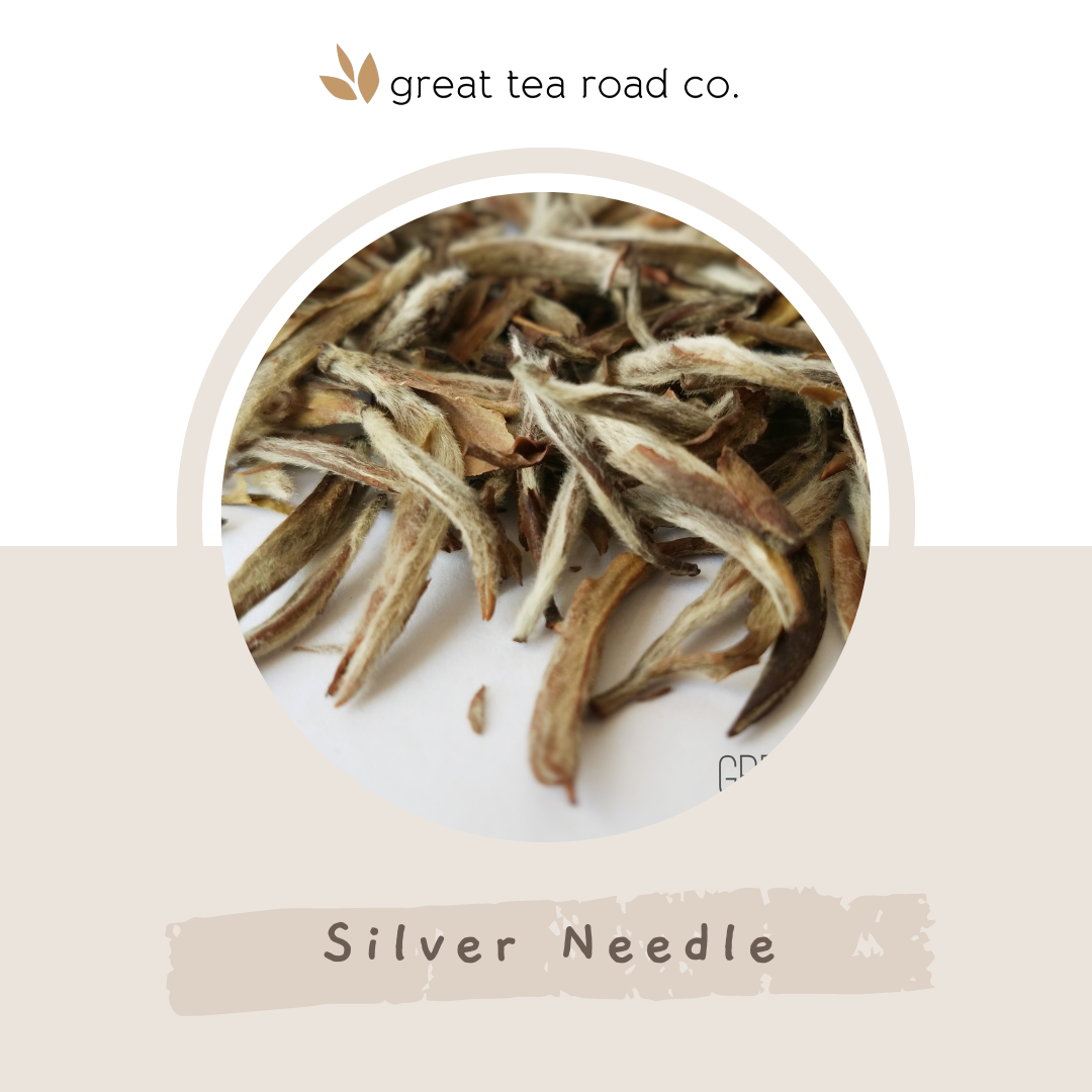 Silver Needle