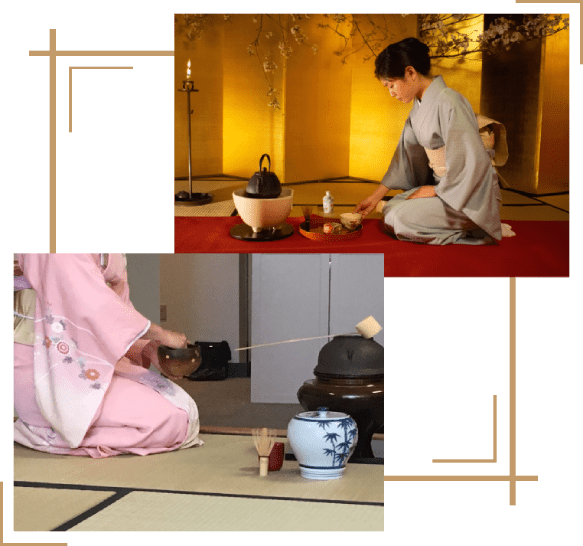 japanese tea ceremony, tea ceremony, tea journey, urasenke, chado, tea garden, organic tea store, tea master